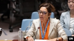엘리자베스 살몬 유엔 북한인권특별보고관이 지난 8월 안보리 북한 인권 회의에서 북한의 인권 상황에 대해 보고하고 있다.