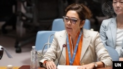 엘리자베스 살몬 유엔 북한인권특별보고관이 지난 8월 안보리 북한 인권 회의에서 북한의 인권 상황에 대해 보고하고 있다.