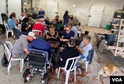 这群来帮忙的人都是从小就认识农场女主人哈加尔的同班同学。他们都是在以色列南部沙漠地带里的阿拉德（Arad ）城市一起长大，至今相识已60年。这群67岁上下的同窗好友，一边工作，一边聊天叙旧。(美国之音/赖素芬)