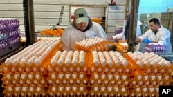 A worker moves crates of eggs at the Sunrise Farms processing plant in Petaluma, Calif., on Jan. 11, 2024.