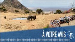 À Votre Avis : Faut-il supprimer les visas ?