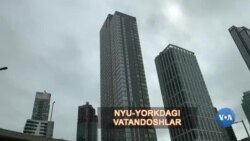 Kichik O'zbekiston: Tramp yo Harris? 