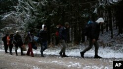 Grupa migranata se kreće kroz šumu na planini Plješevica u pokušaju ilegalnog prelaska granice u Hrvatsku, Bihać, novembar 2018.