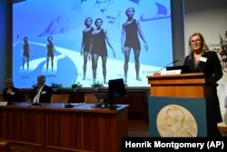 Chair of the Nobel Committee for Physiology or Medicine Anna Wedell, left, presents the discovery made by Swedish scientist Svante Paabo, winner of the 2022 Nobel Prize in Physiology or Medicine, on Monday, Oct. 3, 2022. (Henrik Montgomery/TT News Agency via AP)