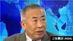 经济学家罗小朋参加美国之音卫视讨论节目（美国之音卫视视频截图）