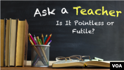 Ask a Teacher: Is It Pointless or Futile? 