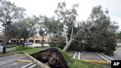 Drveće oboreno u oluji u Kuper Sitiju na Floridi, 28. septembra 2022.