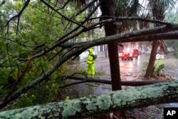 A firefighter examines a large tree across a road as the effects from Hurricane Ian are felt, Sept. 30, 2022, in Charleston, S.C.