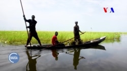 Ambaliyar Manoman Shinkafa