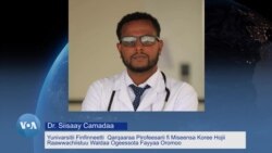 Garee Ogeessota Fayyyaa Ayyaana Irreecha irratti Tajaajila Yaalaa Hatattamaa Kennu