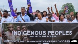 La RDC est un "poumon vert" capable d'absorber le carbone, mais le gouvernement défend aussi le droit du pays à exploiter son pétrole.