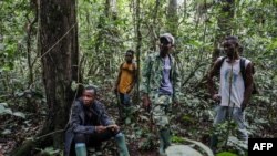 Des pisteurs et des éco-gardes font une pause au milieu de la forêt du parc national de Campo Ma'an, au Cameroun, le 13 octobre 2022.