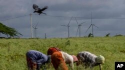 Women work in fields near the windmill farm in Anantapur district, Andhra Pradesh, India, Sept 14, 2022. India is investing heavily in renewable energy and has committed to producing 50% of its power from clean energy sources by 2030.