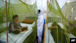 د پاکستان د روغتیا ادارې د شمېرو ترمخه د اکتوبر تر درېیمې پورې د خیبر پښتونخوا په ایالت کې د ډېنګي د مثبتو پېښو شمېر یو زر او ۲۲۲ ته رسېدلی دی. 