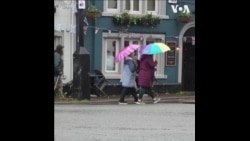 英国民众对特拉斯辞职的反应 