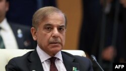 شهباز شریف، صدر اعظم پاکستان