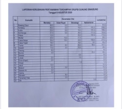 Data kerusakan tanaman di Kabupaten Karo akibat erupsi Gunung Sinabung. (Foto: Dinas Pertanian Karo)
