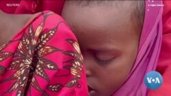 በድርቅ ለተጎዱ ዜጎች የሶማሊያ ሕዝብ እርዳታ እንዲያደርግ ጥሪ ቀረበለት 