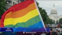 Gati 50 ligjvënës republikanë votojnë pro martesave LGBTQ 