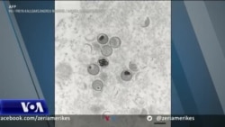 SHBA zgjeron përpjekjet kundër lisë së majmunit