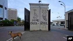 A stray dog is seen on the road leading to president's official residence in Colombo, Sri Lanka, July 15, 2022.