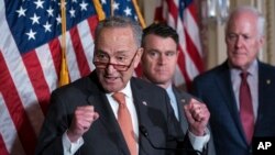 척 슈머 민주당 상원 원내대표