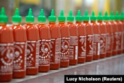 Saus cabai pedas Sriracha dibuat di pabrik Huy Fong Foods di Irwindale, sebagai ilustrasi. Penduduk Northern Territory, Australia, tidak asing lagi dengan sambal terasi. (Foto: Reuters)