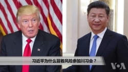 习近平为何冒风险参加川习会？