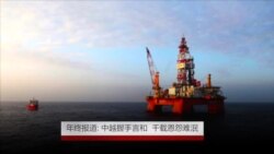 年终报道：中越握手言和 千载恩怨难泯