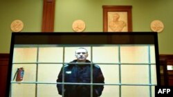 Ռուսաստանցի ընդդիմադիր քաղաքական գործիչ Ալեքսեյ Նավալնի