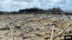 Serangan udara Israel di kota pesisir barat Suriah, Tartus. (Foto: AFP)