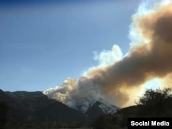 დგვარის ტყე