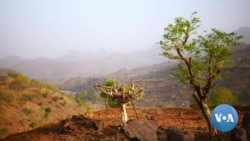 Disputed Western Tigray Could Play Critical Role in Ethiopia Peace Talks 