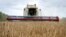 FILE - A harvester collects wheat in Zghurivka, Ukraine, Aug. 9, 2022. 