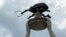 A statue in Enterprise, Alabama honors the boll weevil, a giant black bug.