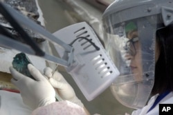 A Japanese restoration expert treats a metal piece of Pharaoh Cheops' second solar boat which was recently pulled out below the Pyramids site in Giza, Egypt, March 29, 2017.