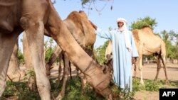 Les violences entre communautés sont fréquentes dans le centre et le sud du Tchad.
