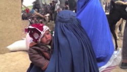 Warga Afghanistan Kelaparan Hingga Jual Organ, AS Didesak Segera Cairkan Aset