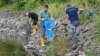 Para relawan ikut membersihkan bangkai-bangkai ikan yang mati di sungai Oder di kota Lebus, Jerman. 