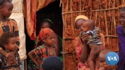 ድጋፍ የራቃቸው የቦረና የድርቅ ተፈናቃዮች