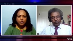 ቃለ መጠይቕ ምስ ፕሮፌሰር መንግስትኣብ ተስፋሃንስ