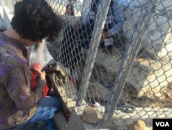 A local woman passes fruit and sweets to a young man trapped inside the refugee camp in Lesbos, Greece, April 1, 2016. (H. Murdock/VOA)