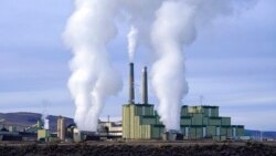 COP27: le pré-sommet de Rotterdam "n'avait pas lieu d'être", selon l'activiste Nicaise Moulombi