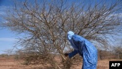 Le climat du Niger est de type sahélien, caractérisé par une saison sèche de 8 à 10 mois et une saison des pluies de juin à septembre.