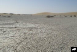 This photo provided by the University of Poitiers in August 2022 shows the Djurab Desert where the fossil sites that yielded remains of Sahelanthropus tchadensis are located.(MPFT/PALEVOPRIM/CNRS – Universite de Poitiers via AP)
