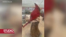 Umjetnost motornom pilom - pretvaranje panjeva u remek djela