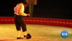 የሰርከስ ባለሞያዎችን ፍልሰት ለመቀነስ ያለመው ቅኔ ሰርከስ 