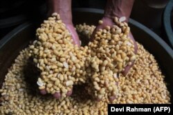 Seorang pekerja menunjukkan kedelai di pabrik tahu di Yogyakarta pada 21 Februari 2022. (Foto: AFP/Devi Rahman)