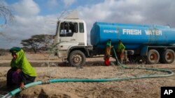 In this file photo, rangers from the Sabuli Wildlife Conservancy supply water from a tanker for wild animals in the conservancy in Wajir County, Kenya, Oct. 26, 2021. (AP Photo/Brian Inganga, File)