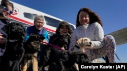 Volunteer "Puppy Raisers" from left, Lynette Gebhardt, Debbie Dugan, Leigh Goetzke and Debbie Roschli pose with puppies, Feb. 8, 2022.